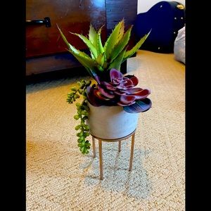 Fake Succulent with stand